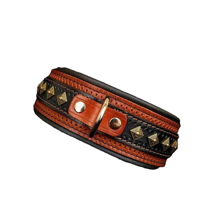 Bestia The Balteus Collar for Dogs - 5060693303494