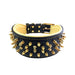 Bestia The Crown Collar for Dogs - 5060693308093