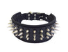 Bestia The Danger Collar for Dogs - 5060693302633