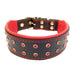 Bestia The ''Diamond'' Collar for Dogs - 5060693308475