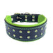 Bestia The ''Diamond'' Collar for Dogs - 5060693308482