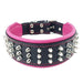 Bestia The Silver Giant Collar for Dogs - 5060693303388