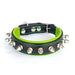 Bestia The "Spiky Collar" for Puppies - 5060693301957