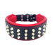 Bestia The Stud Collar for Dogs - 5060693301841