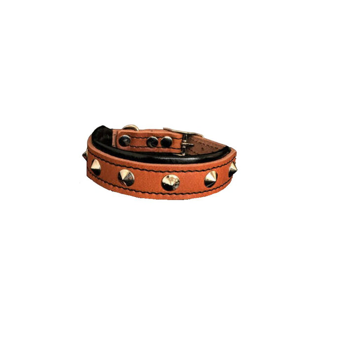 Bestia The "Superstar" Collar for Puppies - 5060693306518