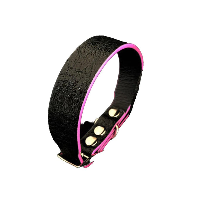 Bestia The ''Taurus'' Collar for Puppies - 5060693305375