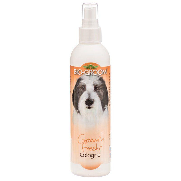 Bio Groom Groom N Fresh Cologne - 021653513082