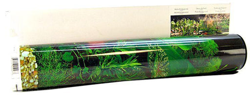 Blue Ribbon Freshwater Black & Tropical Double Sided Aquarium Background - 030157010478