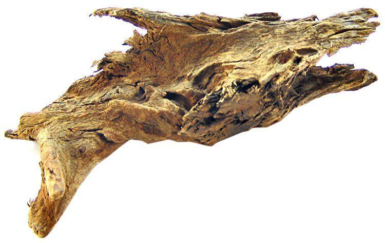 Blue Ribbon Natural Malaysian Driftwood - 030157001445