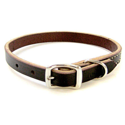 Circle T Latigo Leather Town Collar - 076484118241