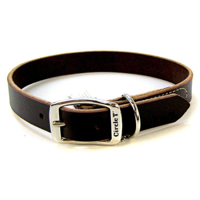 Circle T Latigo Leather Town Collar - 076484118524