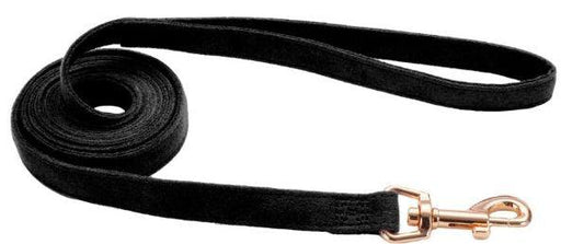 Coastal Pet Accent Microfiber Dog Leash Mod Black 6'L x 5/8"W - 076484214417