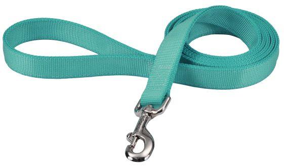 Coastal Pet Double-ply Nylon Dog Lead Teal - 076484901898