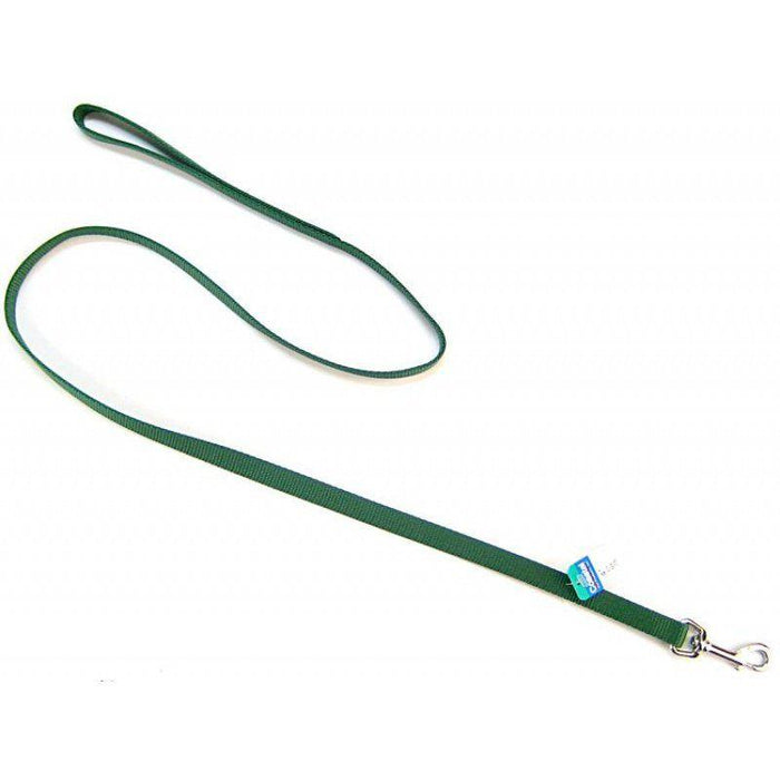 Coastal Pet Nylon Lead - Hunter Green - 076484035388