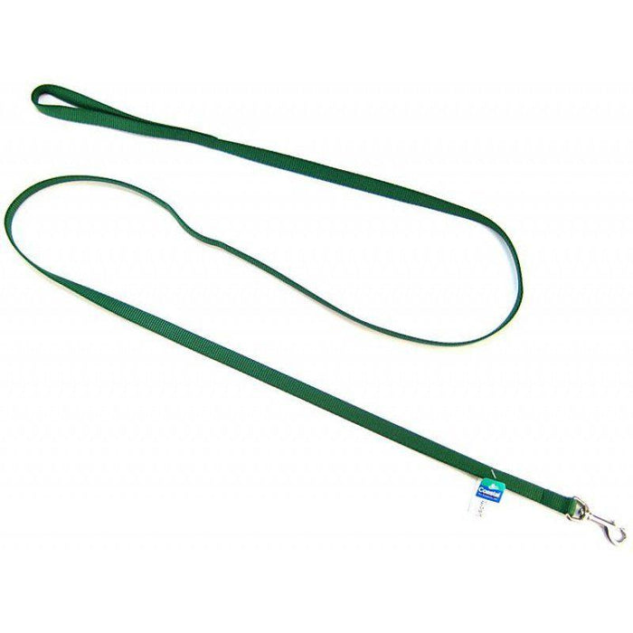 Coastal Pet Nylon Lead - Hunter Green - 076484035586