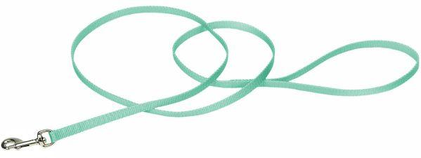 Coastal Pet Single-ply Nylon Dog Leash Teal - 076484300394