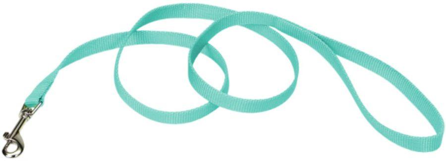 Coastal Pet Single-ply Teal Nylon Dog Lead - 076484400407