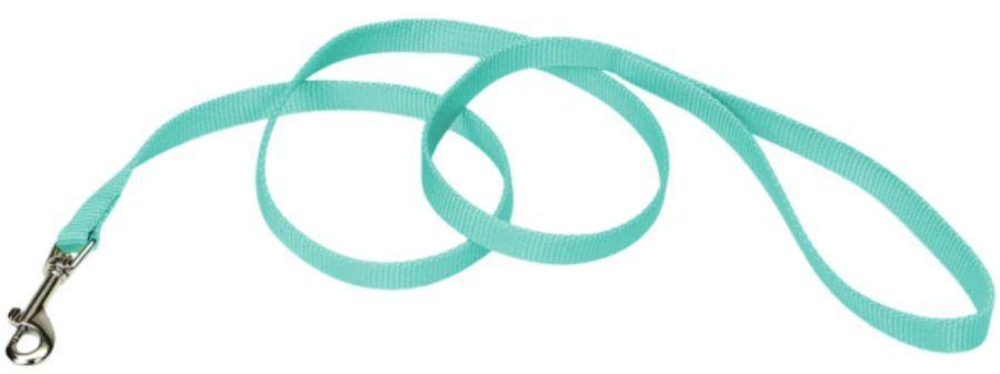 Coastal Pet Single-ply Teal Nylon Dog Lead - 076484400391