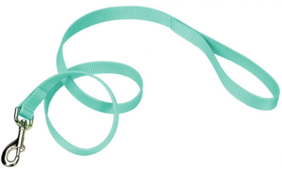 Coastal Pet Single-ply Teal Nylon Dog Lead - 076484900389