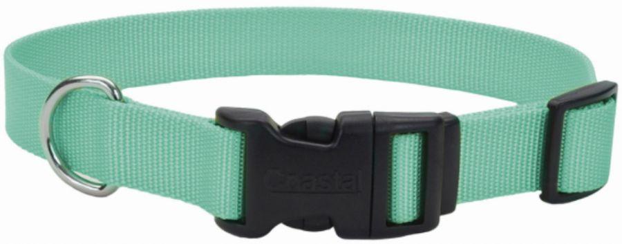 Coastal Pet Teal Nylon Tuff Dog Collar with Plastic Buckle - 076484630217