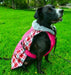 Doggie Design Alpine All-Weather Dog Coat - Raspberry Plaid - 811618011179