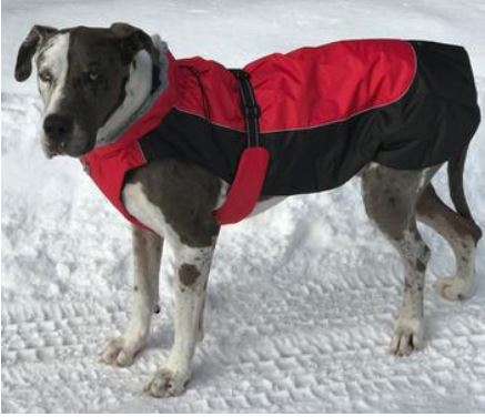 Doggie Design Alpine All-Weather Dog Coat - Red and Black - 811618010998