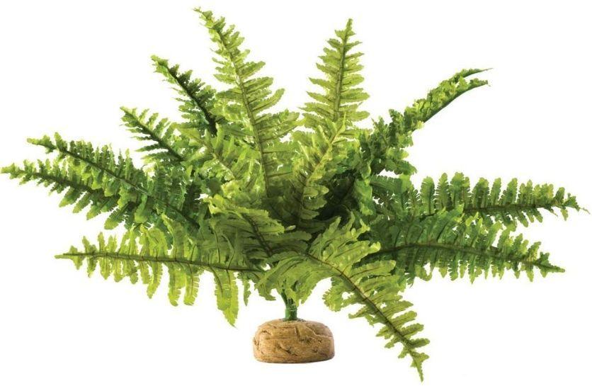 Exo Terra Boston Fern Terrarium Plant - 015561229951