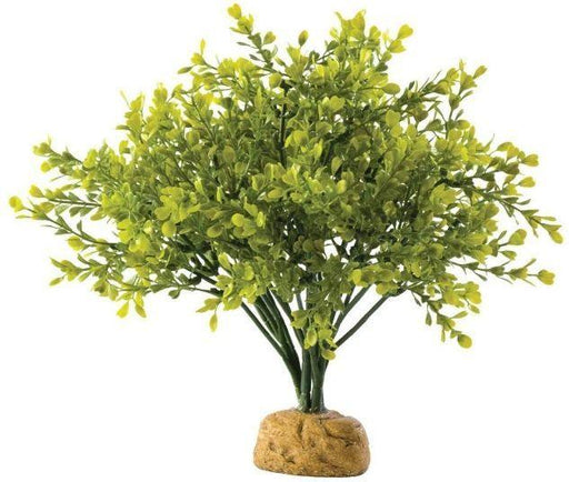 Exo Terra Boxwood Bush Terrarium Plant - 015561229944