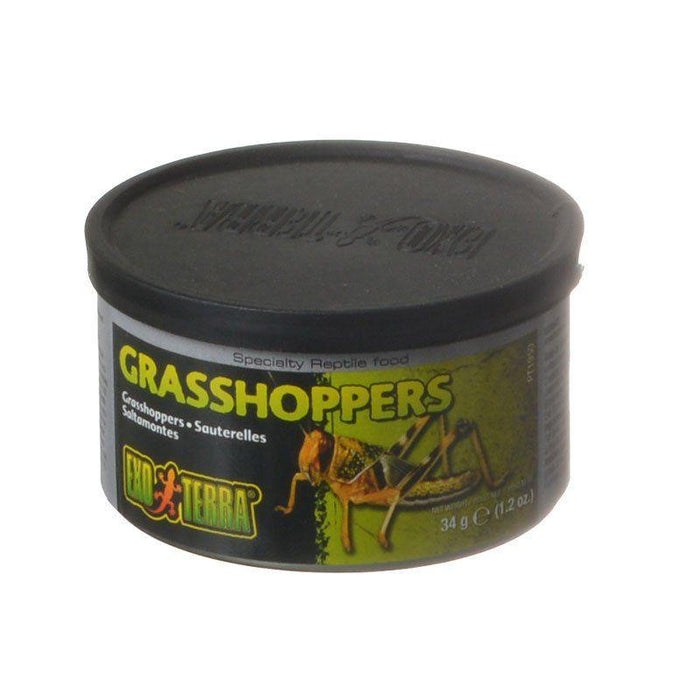 Exo-Terra Grasshoppers Reptile Food - 015561219501