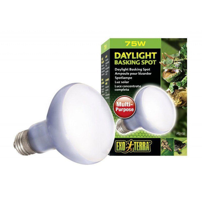 Exo-Terra Sun Glo Neodymium Basking Spot Lamps - 015561221320