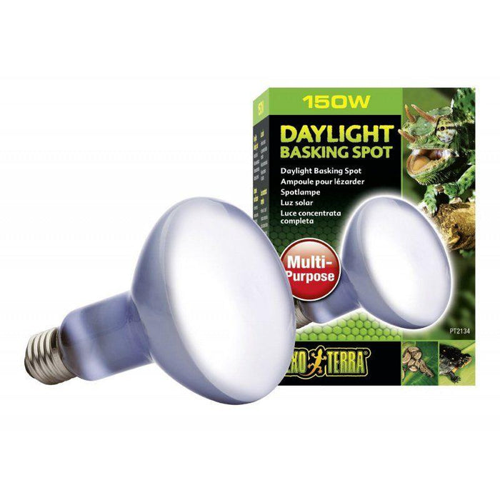 Exo-Terra Sun Glo Neodymium Basking Spot Lamps - 015561221344