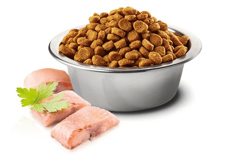 Farmina Ocean N&D Natural & Delicious Grain Free Mini Adult Herring & Orange Dry Dog Food - 80100276036769