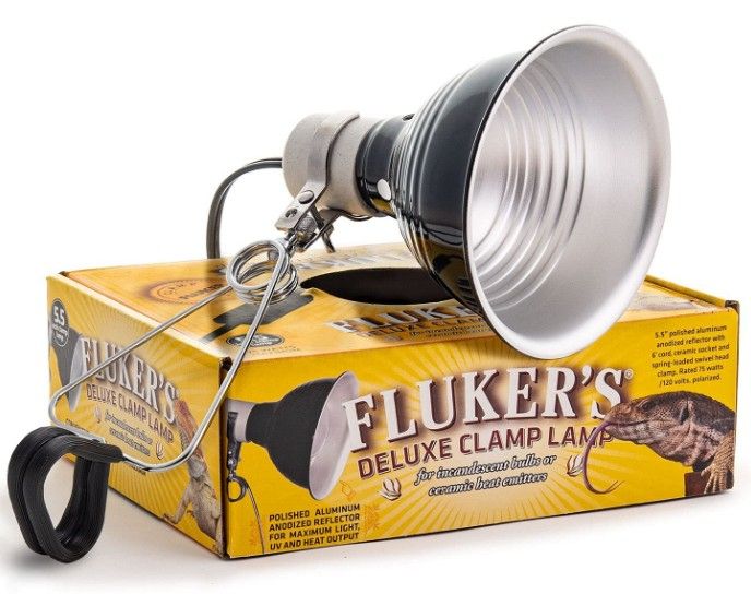 Flukers Clamp Lamp with Switch - 091197270024