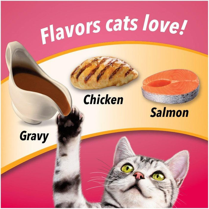 Friskies Gravy Swirlers Chicken & Salmon Flavor Dry Cat Food - 050000168620