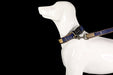 Glucklich Denim Adjustable Dog Collar - 8903523715647