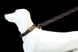 Glucklich Elegance Printed Pet Leash - 8903523715609