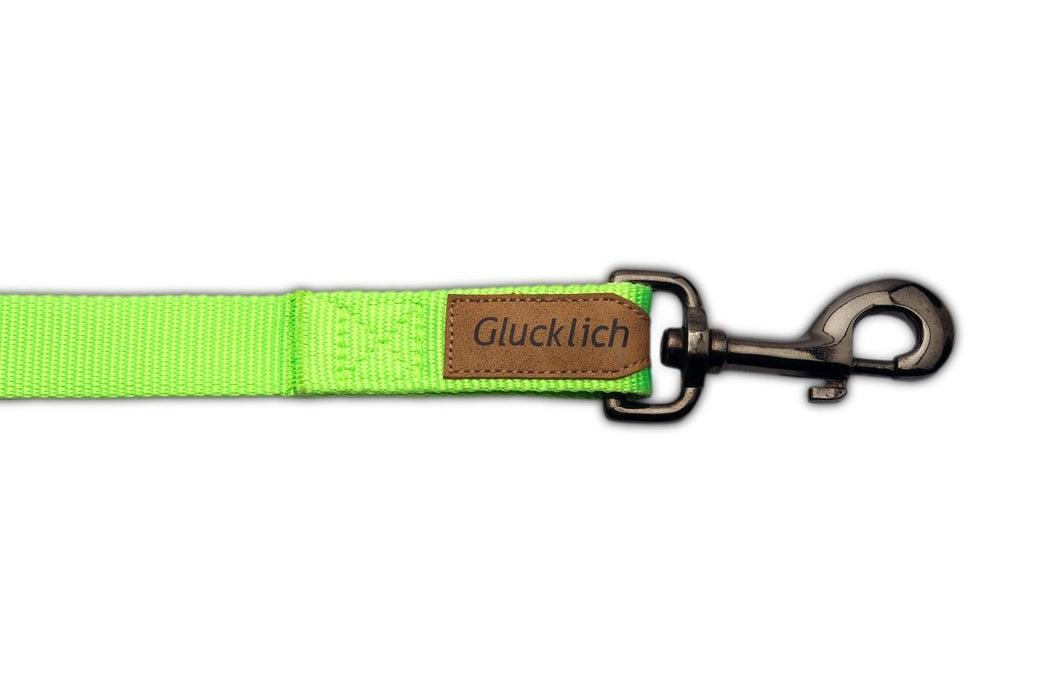 Glucklich Heavy Duty Nylon Pet Leash - 5 Feet - 8903523715791