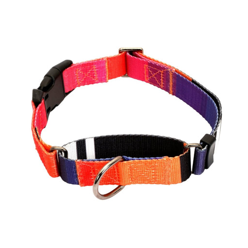 Glucklich Martingale Printed Dog Collar - 8903523715715