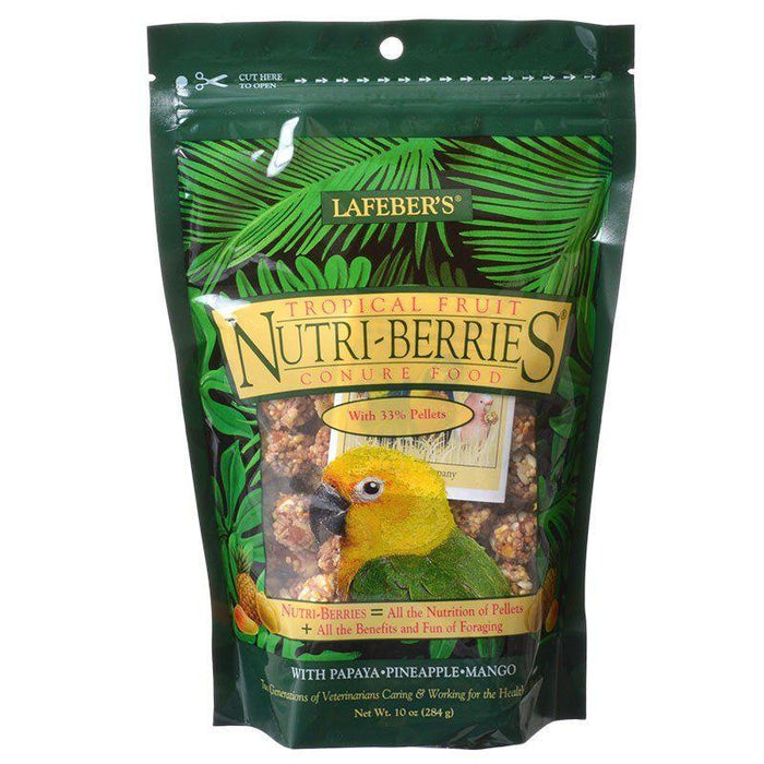 Lafeber Tropical Fruit Nutri-Berries Conure Food - 041054826451