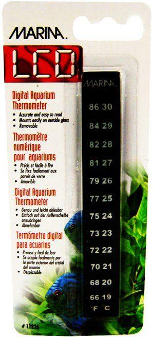 Marina Minerva Digital Thermometer - 015561112260