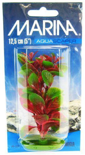 Marina Red Ludwigia Plant - 080605105195