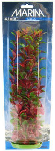 Marina Red Ludwigia Plant - 080605115194