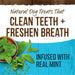 Merrick Fresh Kisses Dog Dental Treats With Mint Breath Strips Dog Treats for Large Breeds - 022808660439