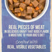 Merrick Grain Free Puppy Plate Beef Recipe Canned Puppy Food - 022808108122