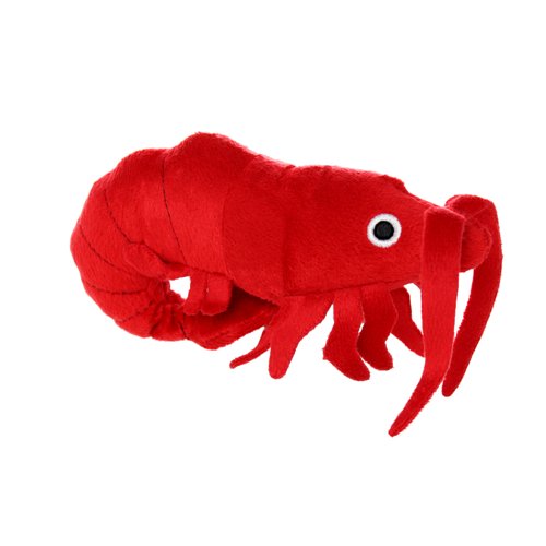 Mighty Junior Ocean Prawn Dog Toy - 180181906084