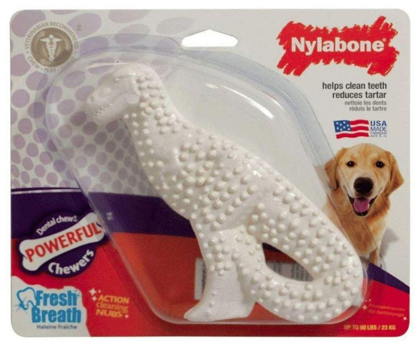 Nylabone Dinosaur Dental Dog Chew Chicken Flavor - 018214778516