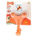 Nylabone Dura Chew Axis Bone Chew Toy - Bacon Flavor - 018214831853