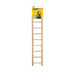 Prevue Birdie Basics Ladder - 048081003855