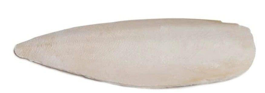 Prevue Cuttlebone Birdie Basics Large 6" Long - 048081511473