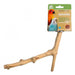 Prevue Naturals Y-Branch Perch - Coffee Wood - 048081010501